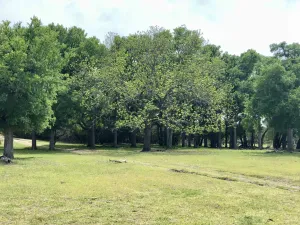 Lampasas, TX 76550
