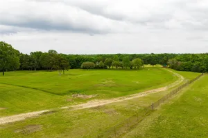 Wills Point, TX 75169
