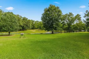 Emory, TX 75440