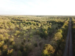 Mexia, TX 76667