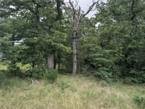 Bowie, TX 76230