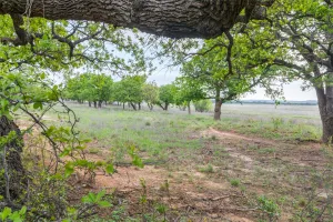 Ovalo, TX 79541