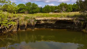 Hamilton, TX 76531