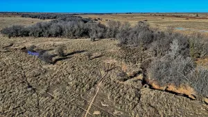 Petrolia, TX 76377