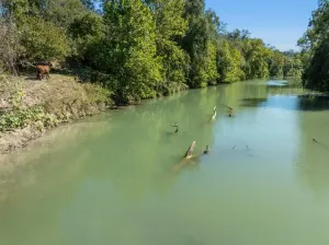 Gonzales, TX 78629