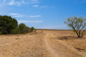Perrin, TX 76486