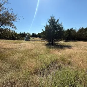 Farmersville, TX 75442