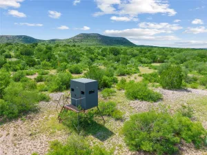 Uvalde, TX 78801