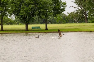 Wills Point, TX 75169