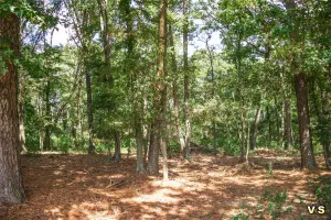 Winnsboro, TX 75494