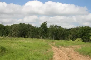Strawn, TX 76475