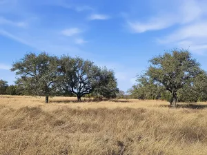 Evant, TX 76525