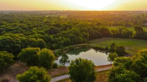 Sulphur Springs, TX 75482
