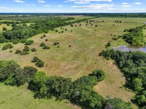 Whitewright, TX 75491