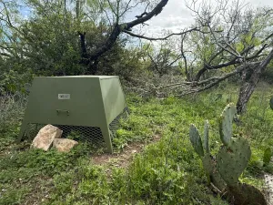 Voss, TX 76888