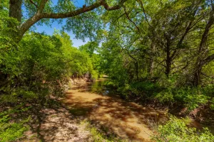 Coleman, TX 76834