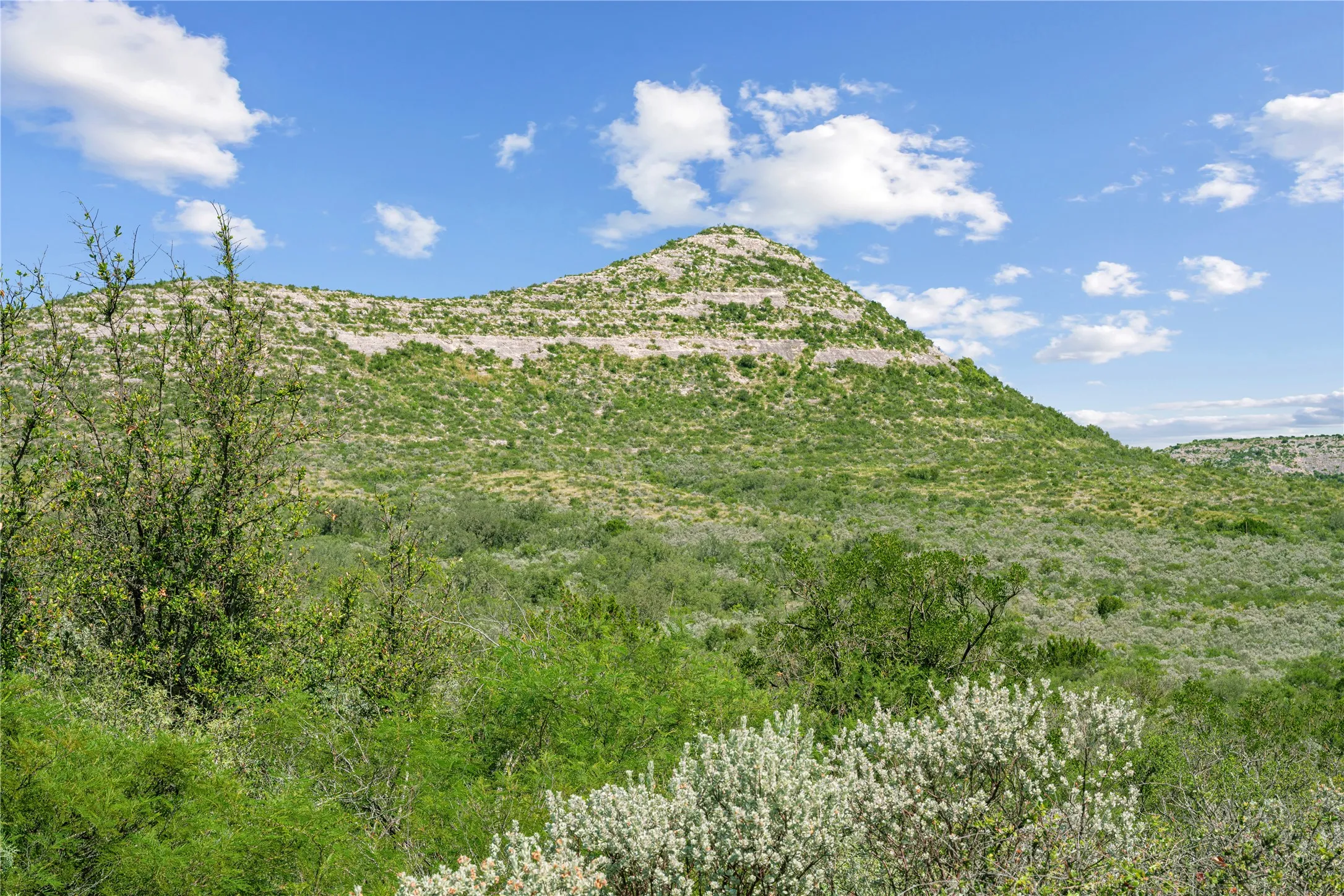 Uvalde, TX 78801