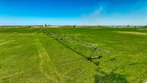 Dublin, TX 76446