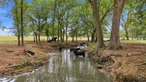 Collinsville, TX 76233