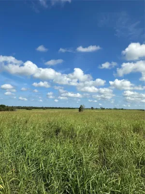 Honey Grove, TX 75446