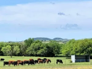 Walnut Springs, TX 76690