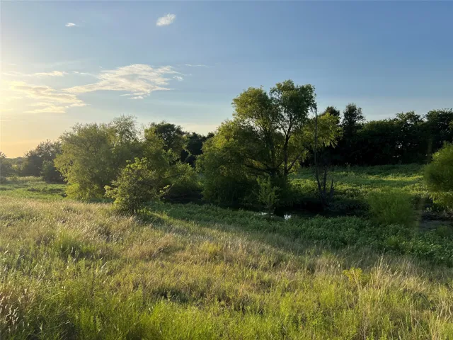 Joshua, TX 76044