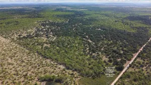 Caddo, TX 76429