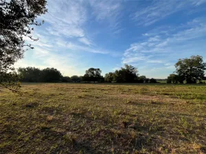 Mexia, TX 76667