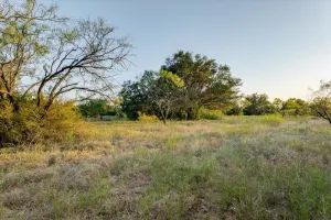 Carbon, TX 76435