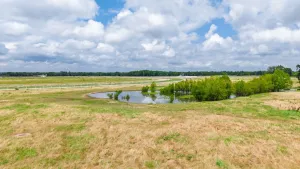 Lone Oak, TX 75453