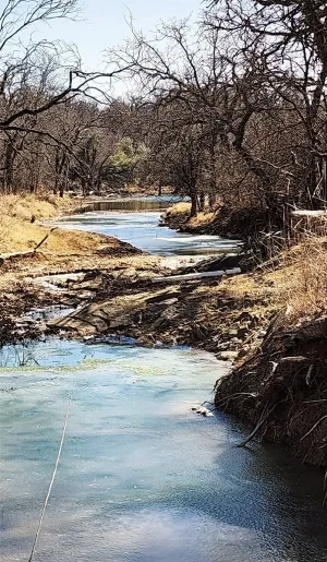Gorman, TX 76454