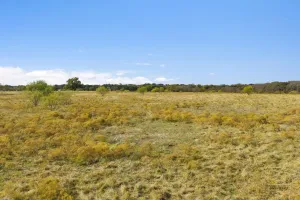 Pilot Point, TX 76258