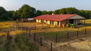 Sulphur Springs, TX 75482