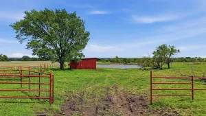 Gunter, TX 75058
