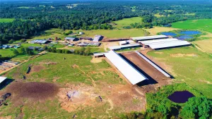 Winnsboro, TX 75494