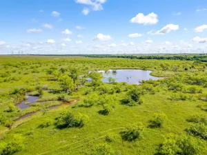 Bellevue, TX 76228