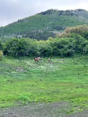 Durango, CO 81326