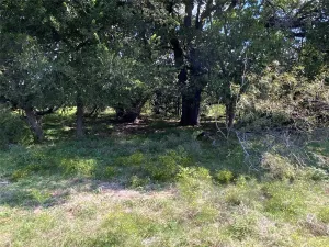 Carlton, TX 76436