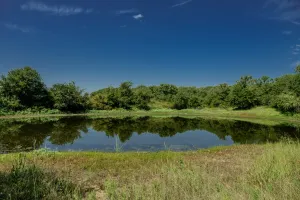 Henrietta, TX 76230