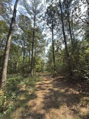 Garrison, TX 75946
