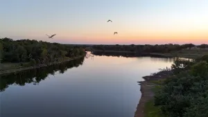 Gorman, TX 76454