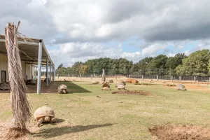 Franklin, TX 77856