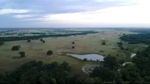 Wills Point, TX 75169