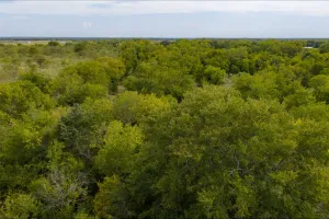 Wills Point, TX 75169