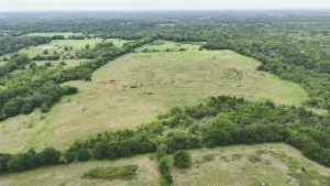 Mabank, TX 75147