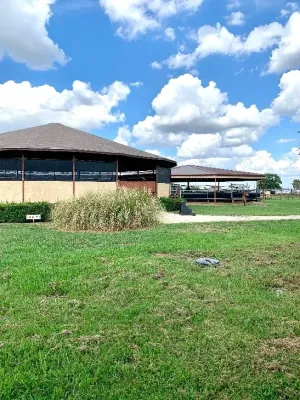 Pilot Point, TX 76258