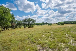 Purmela, TX 76566