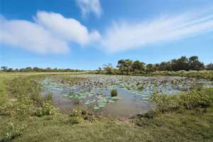 Lone Oak, TX 75453