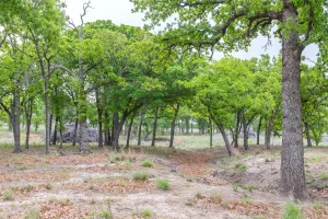 Ovalo, TX 79541
