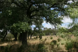 Strawn, TX 76475